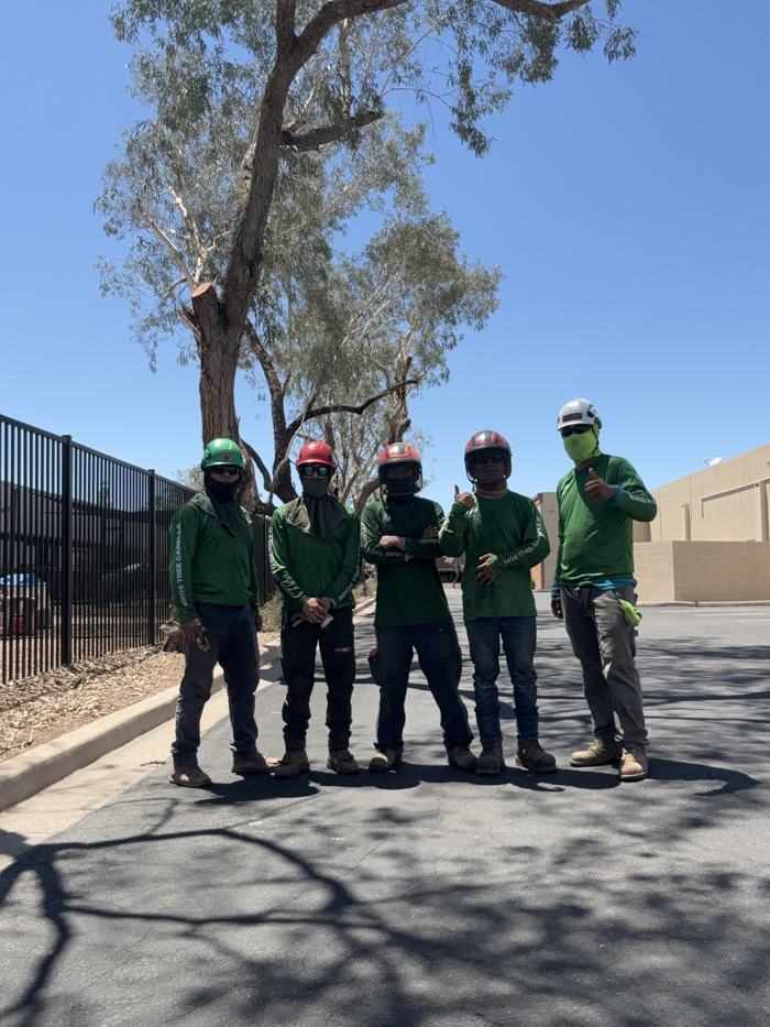 The Bros Tree Care crew in green shirts and helmets after a job in Phoenix