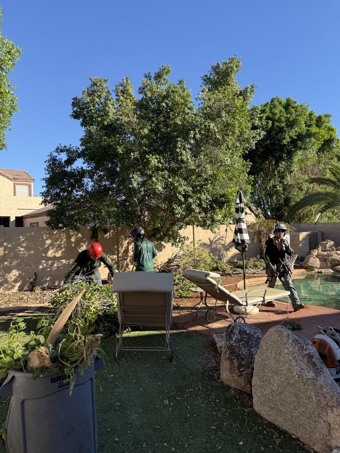 Three crew members blowing and raking up after a trim beside a backyard pool