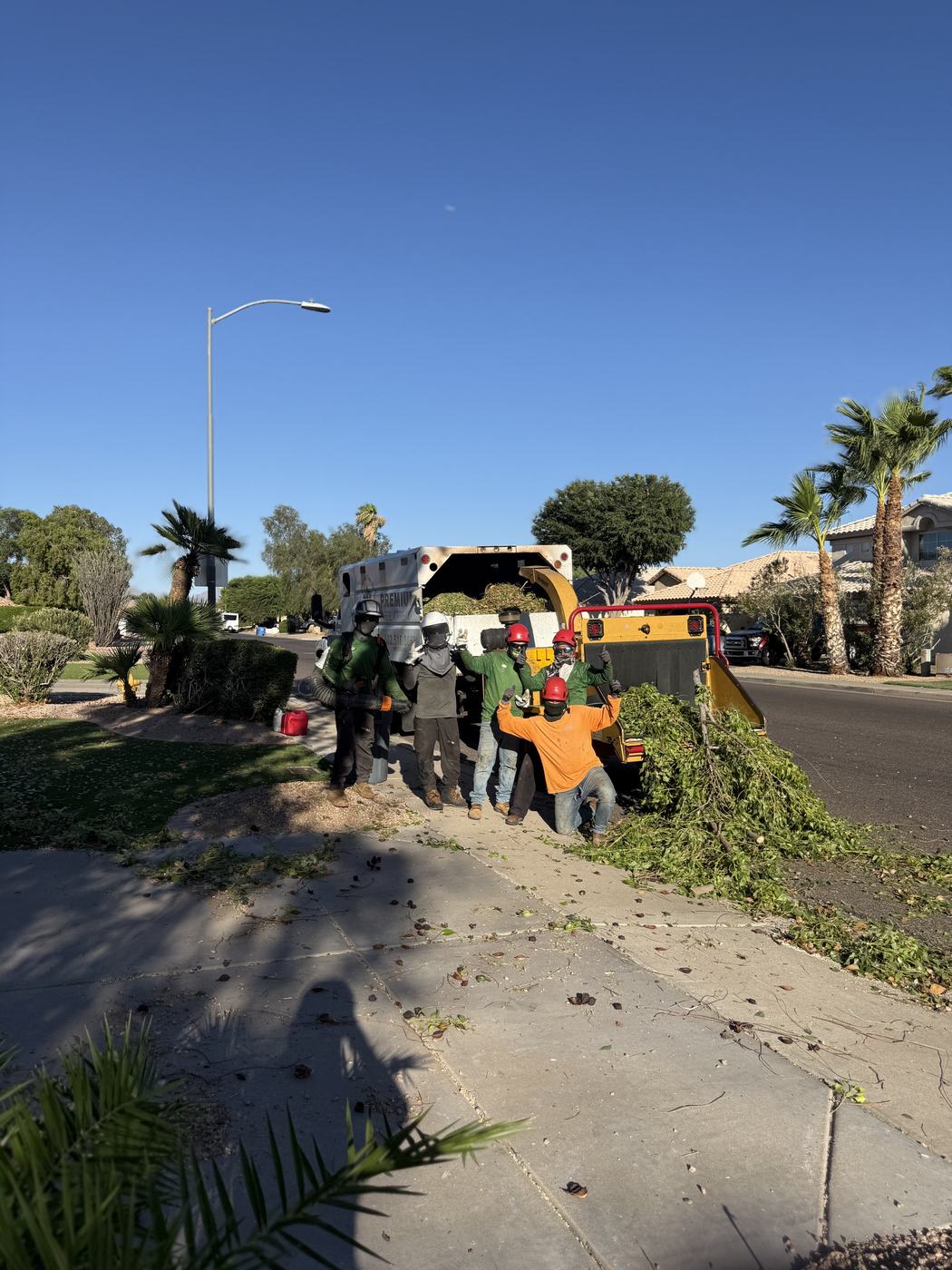 Bros Tree Care crew feeding trimmed branches into the chipper at the curb in Gilbert, AZ