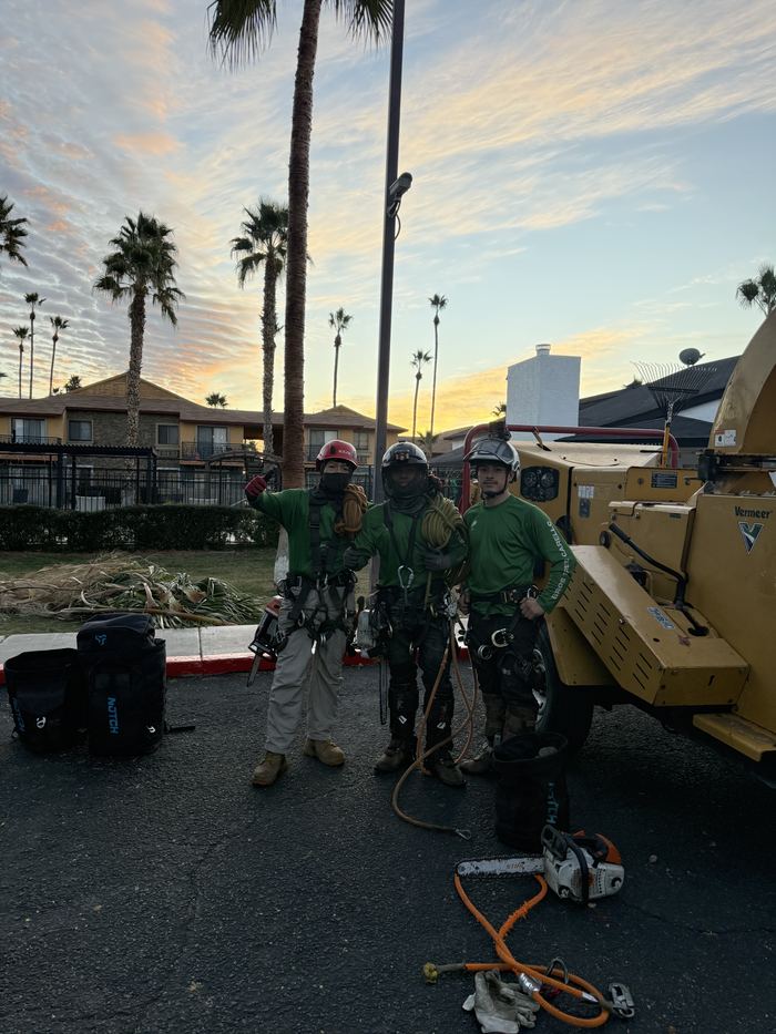 Crew gearing up beside the truck at sunrise