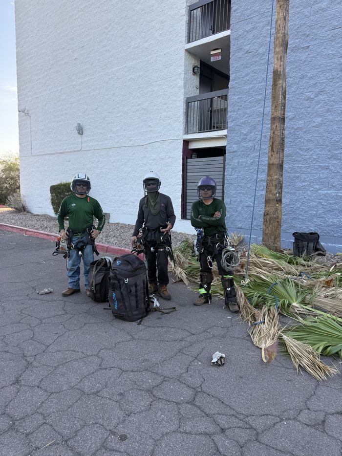 Three crew members with climbing gear and saws after a job