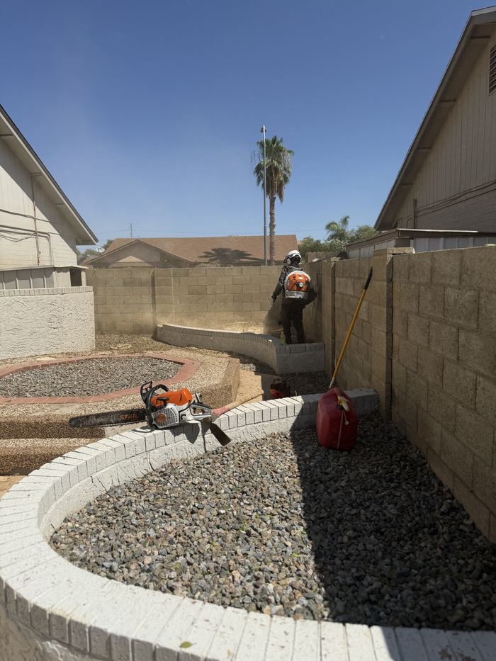 Crew member trimming a hedge along a block wall in a Phoenix backyard