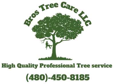 Bros Tree Care LLC logo
