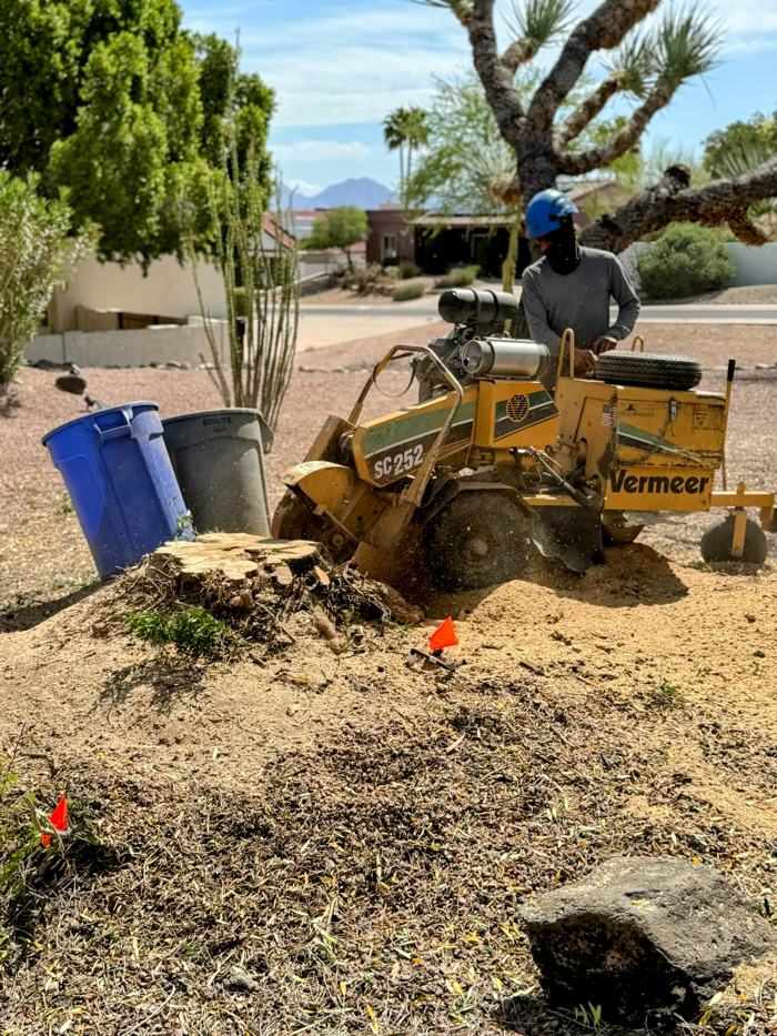 Vermeer stump grinder removing a stump in a Phoenix desert yard